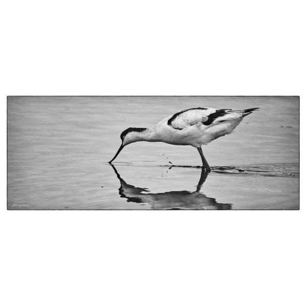 PHOTO84, CLUB, 84 , LUBERON